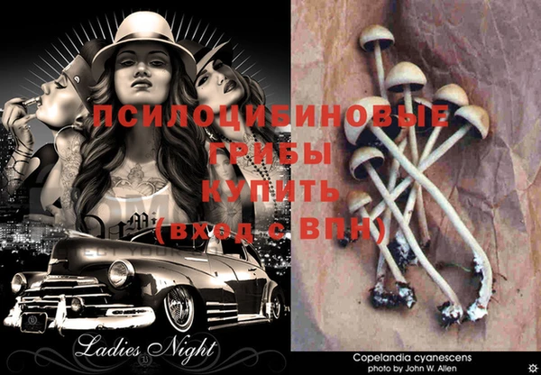 mdma Зерноград