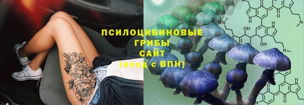 mdpv Инта
