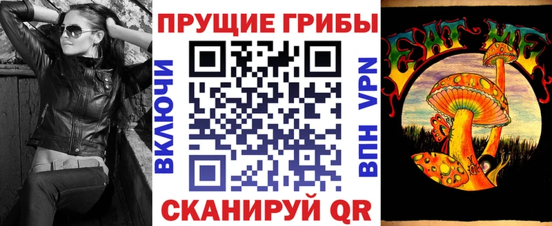 мега   Хабаровск  Псилоцибиновые грибы Psilocybine cubensis 